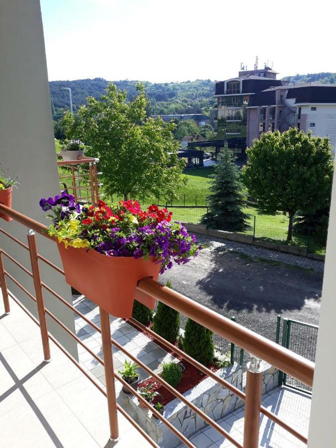 Simica Cose Apartment Vrdnik Luaran gambar